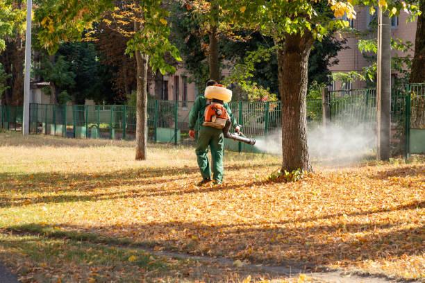 Wasp Removal Services in Jackson, LA